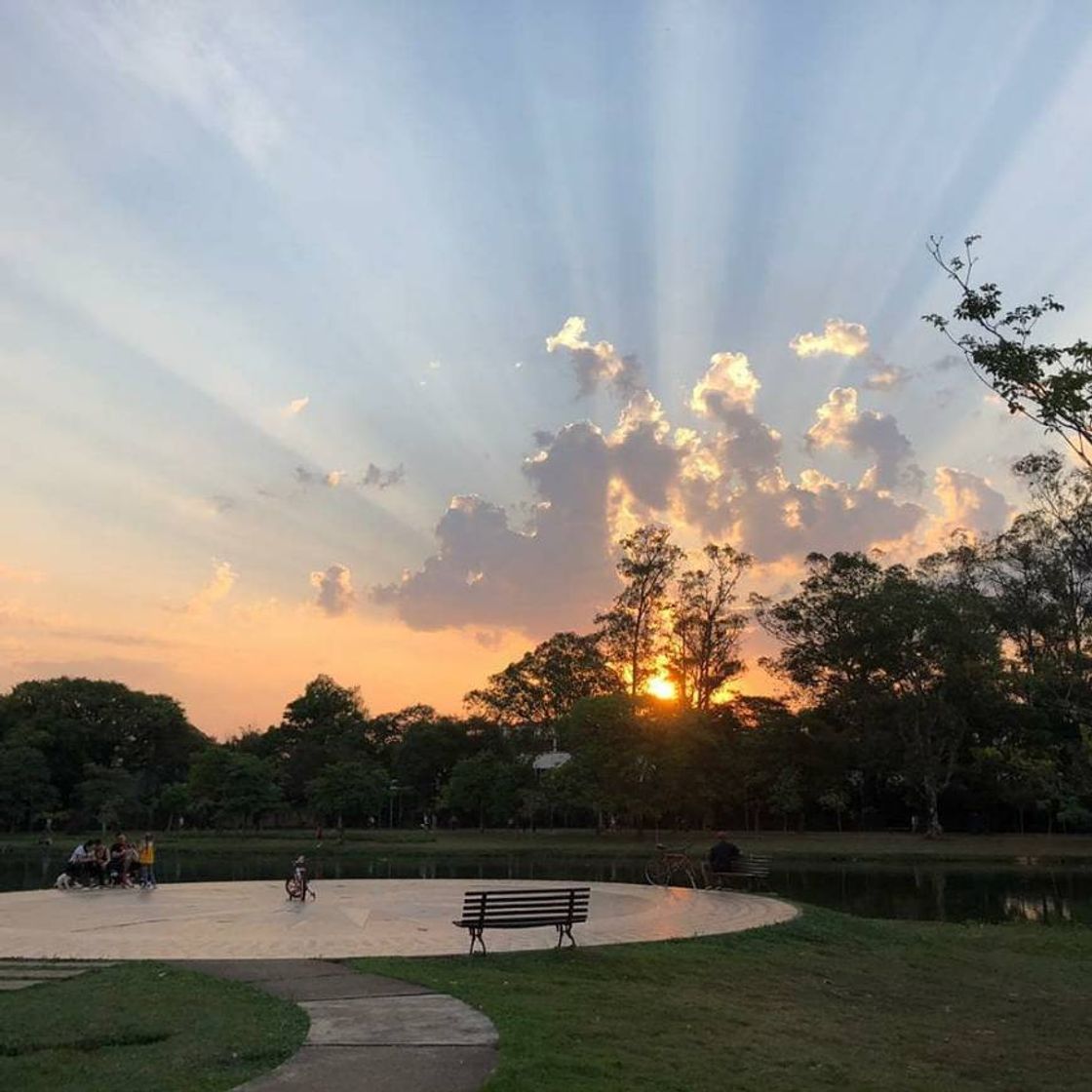 Moda Como não amar o Parque Ibirapuera. 