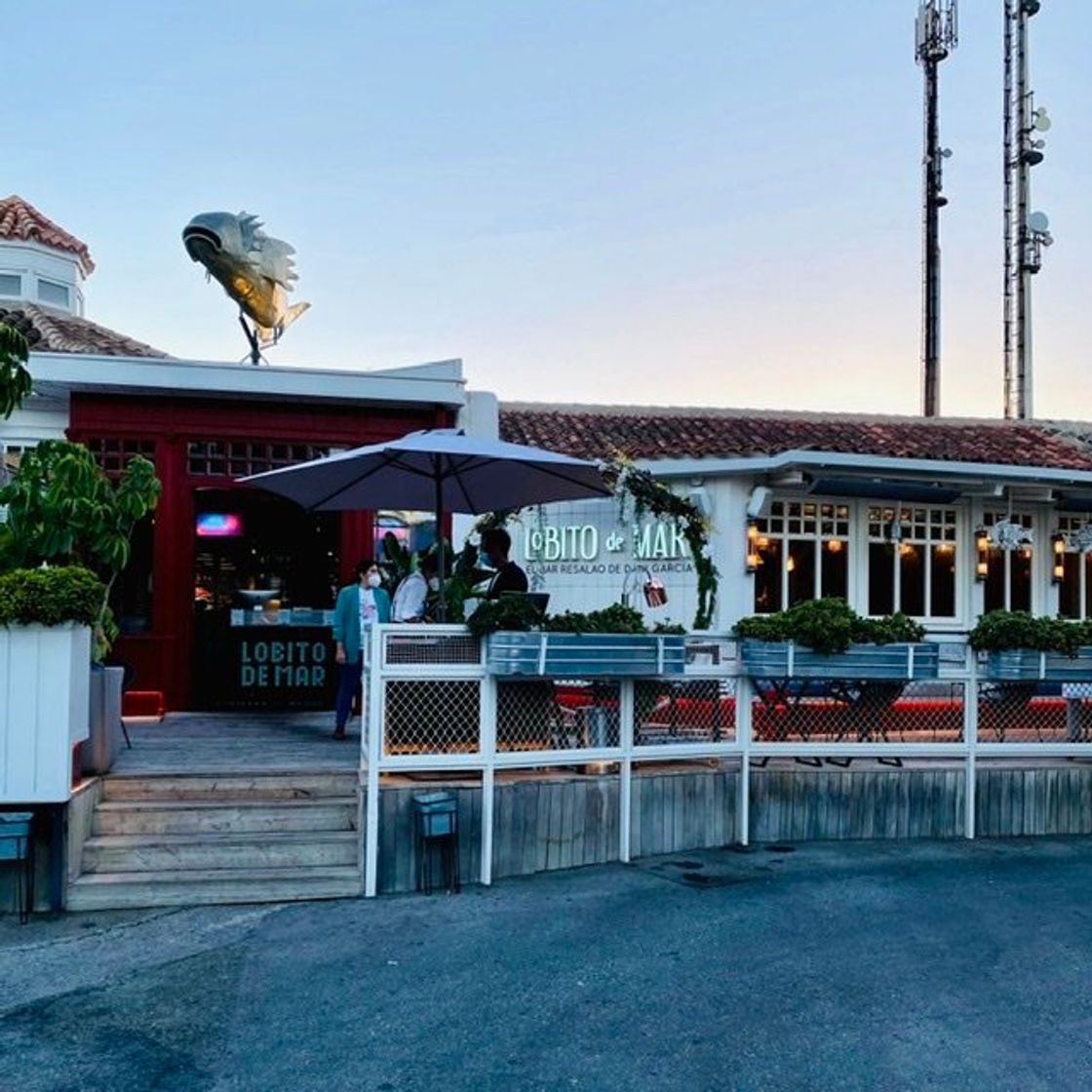 Restaurants Lobito de Mar