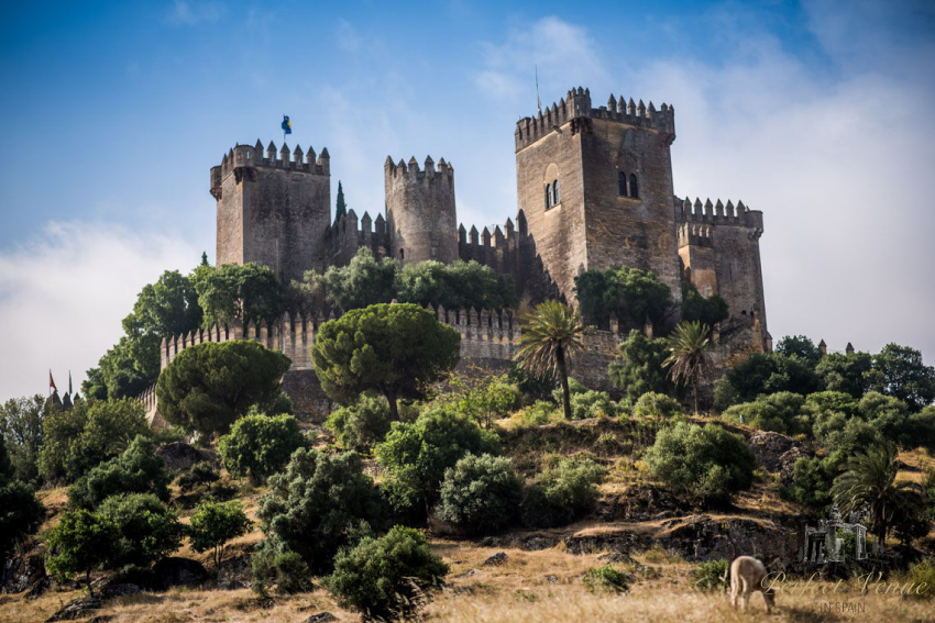 Lugar Castillo Almodóvar del Río