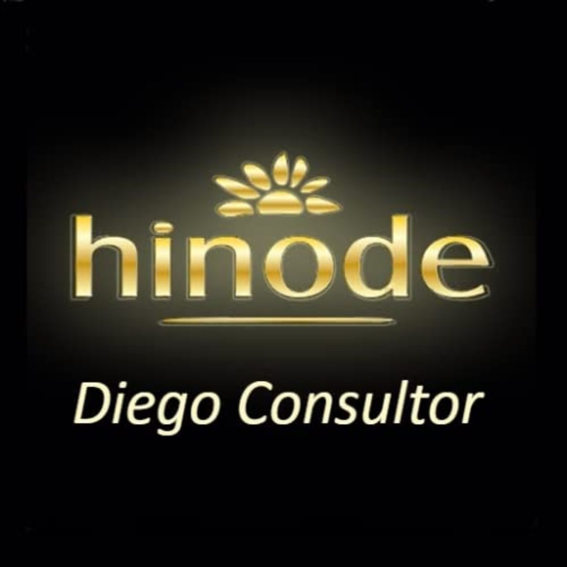 Social Diego Consultor Hinode