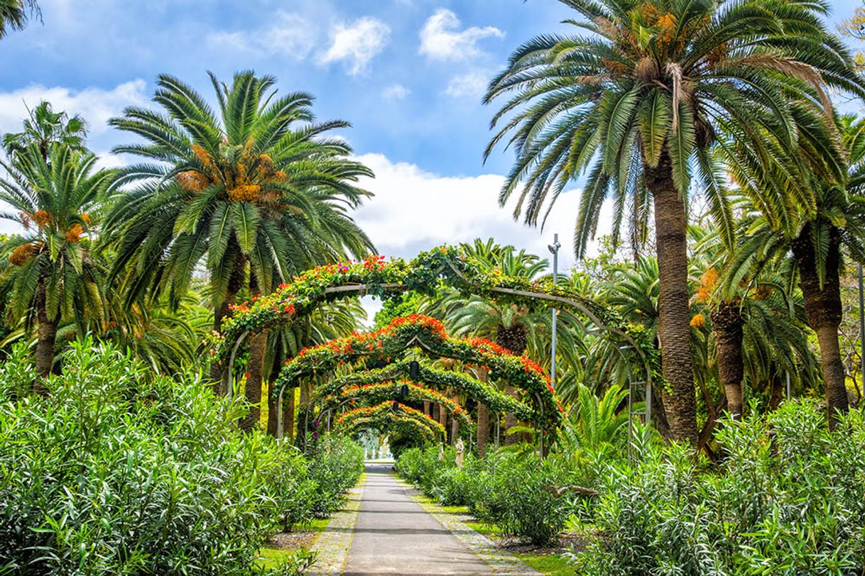 Place Parque García Sanabria