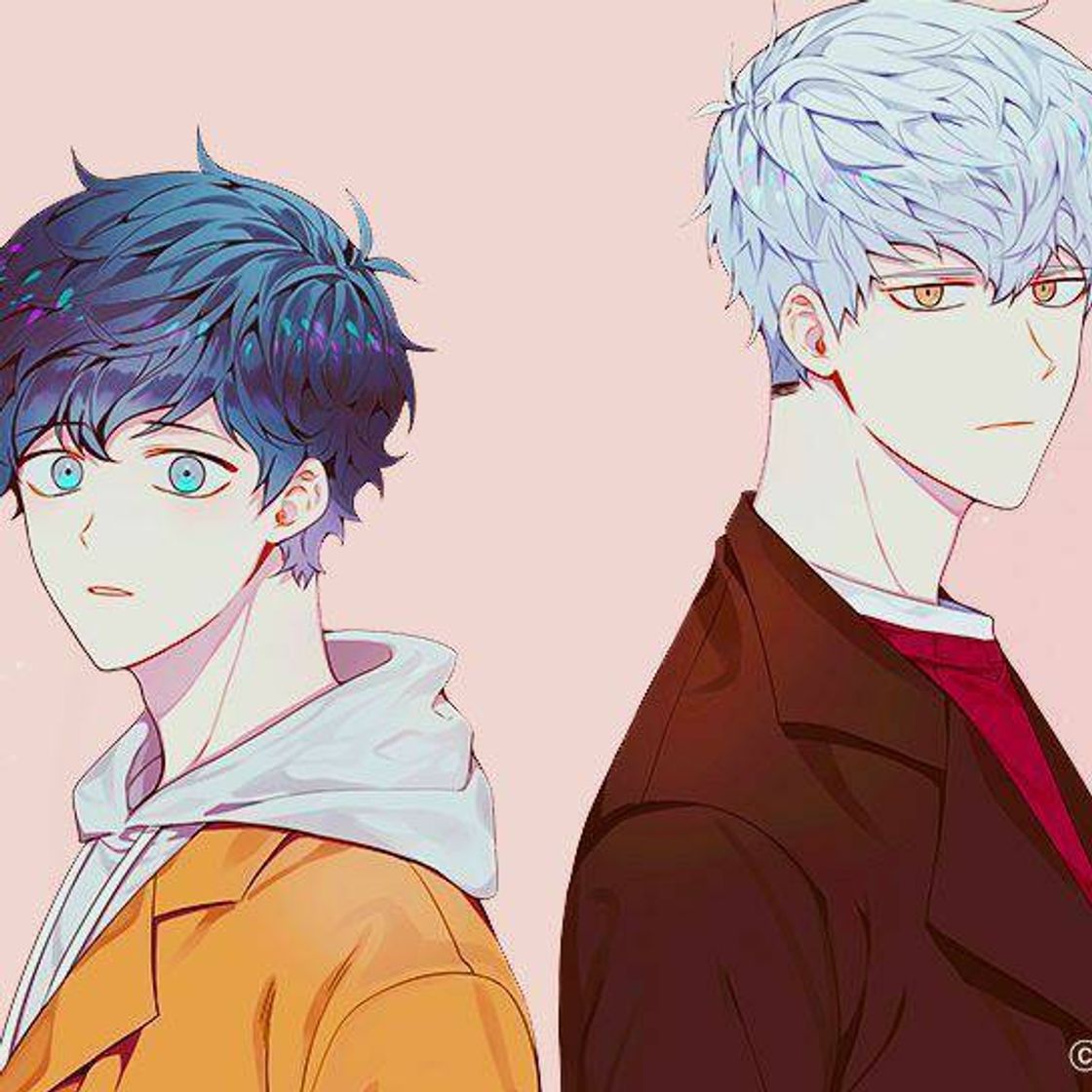 Social   Cherry Blossoms After Winter 