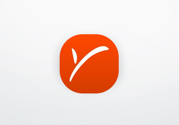 App Payoneer