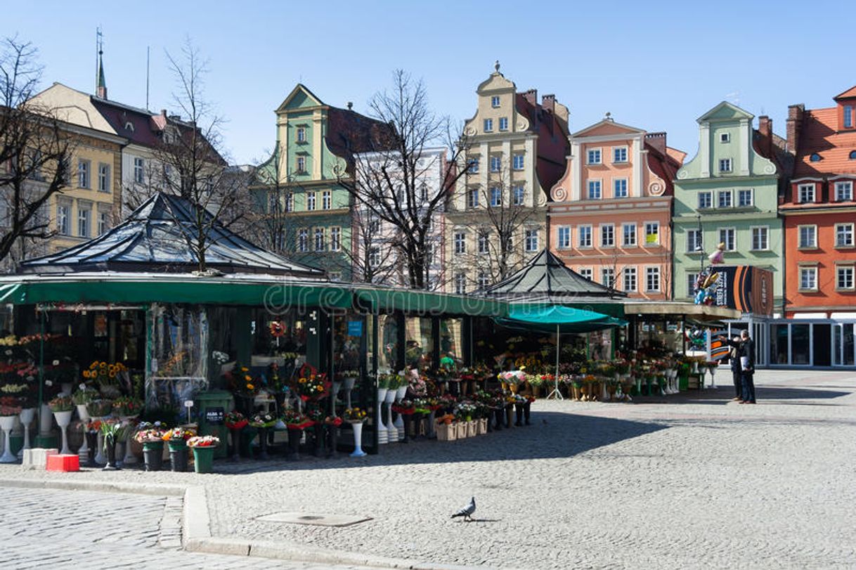 Zamość