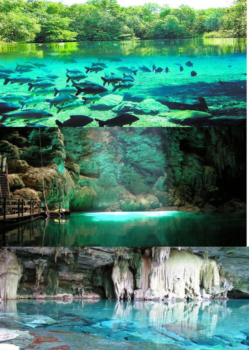 Place Mato Grosso do Sul