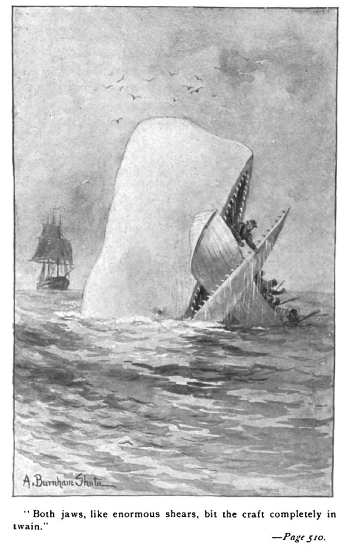 Libro Moby Dick