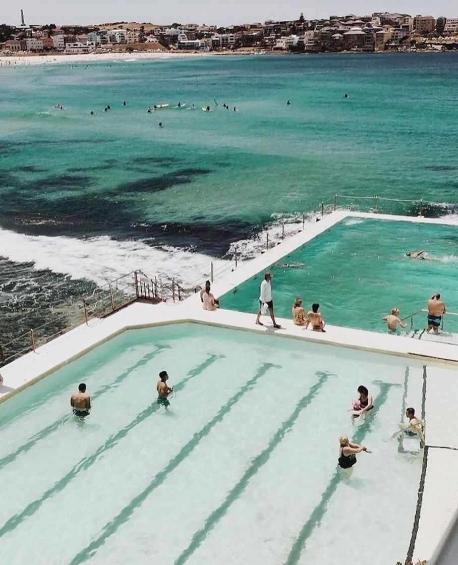 Restaurantes Bondi Icebergs Club