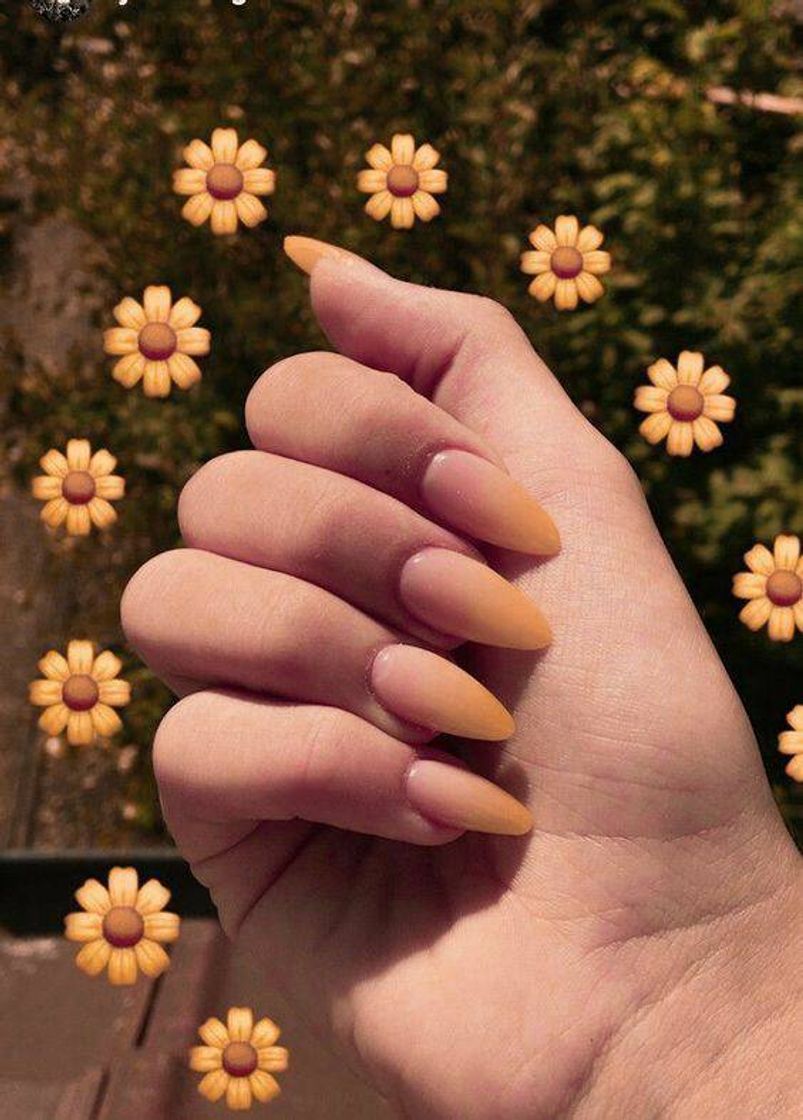 Social Nail