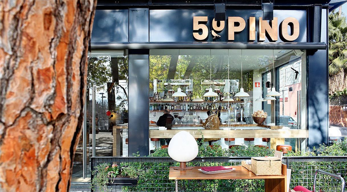 5° Pino