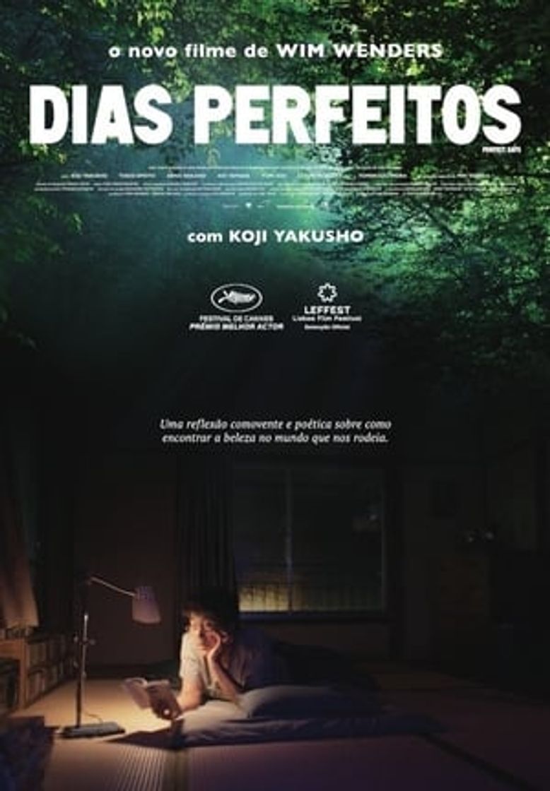 Días Perfectos