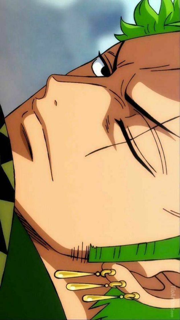 Zoro❤️