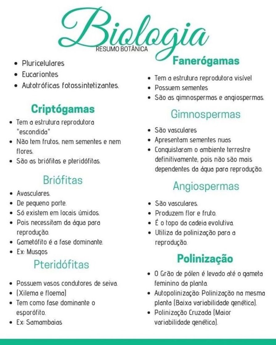 Social Resumo botânica biologia 