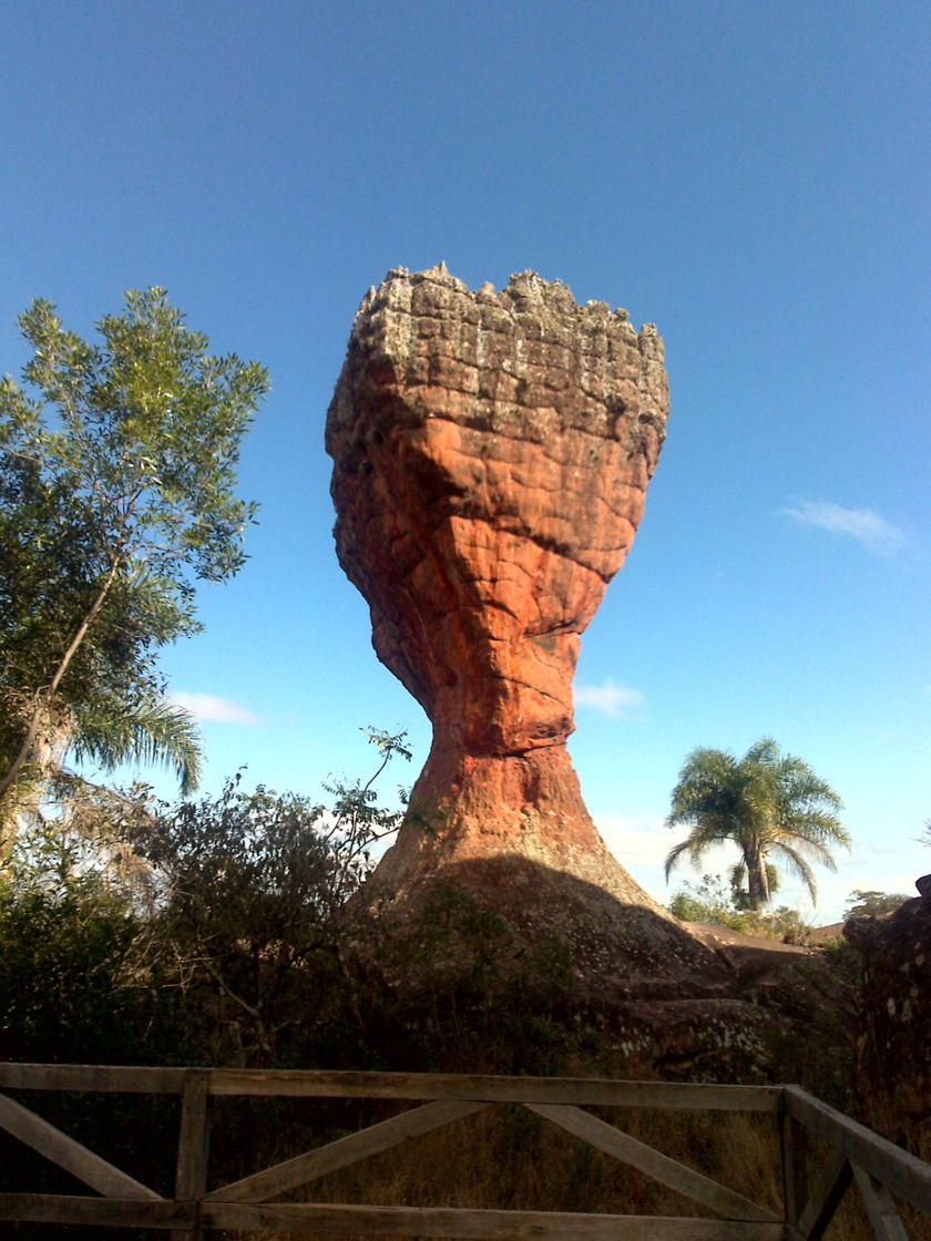 Lugar Parque Estadual de Vila Velha