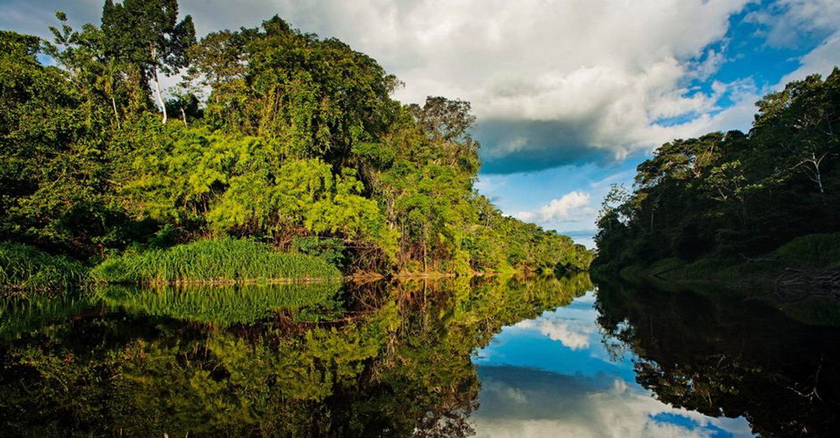 Lugar Pacaya-Samiria National Reserve