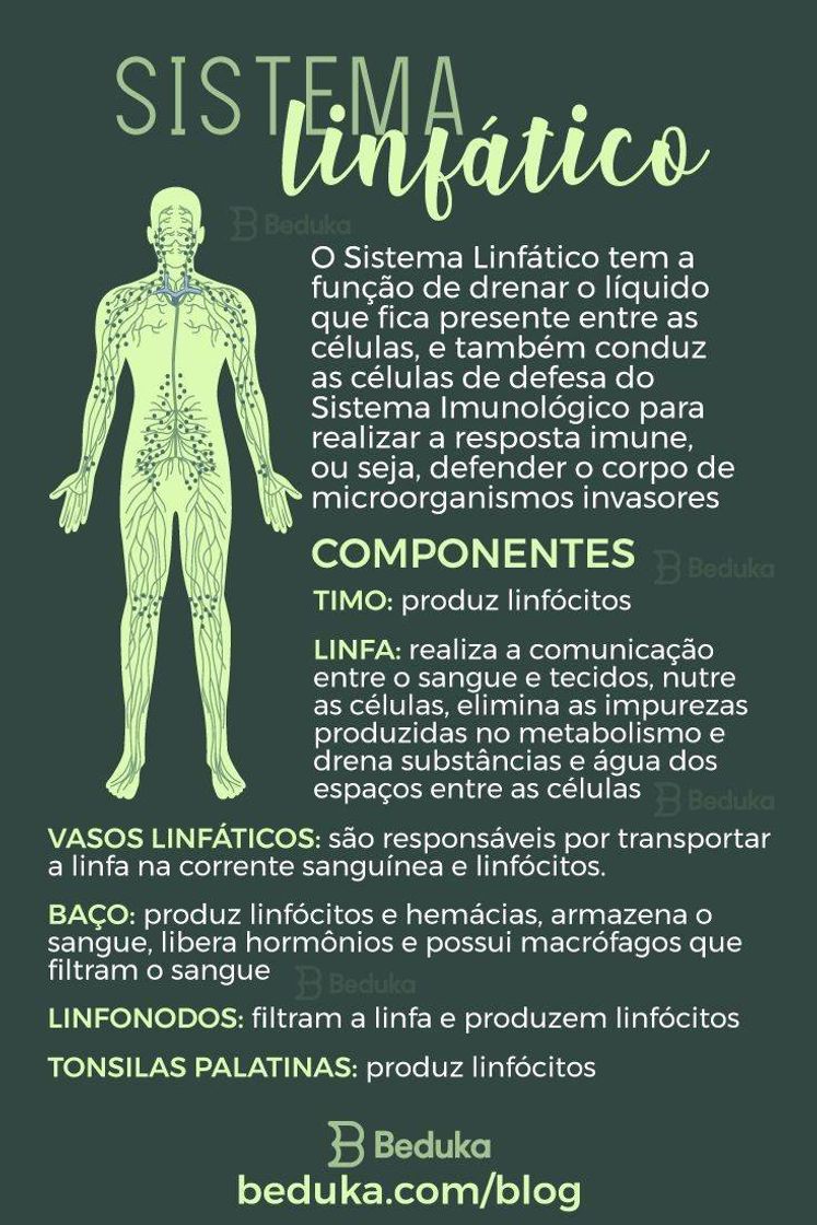 Social Sistema linfático 