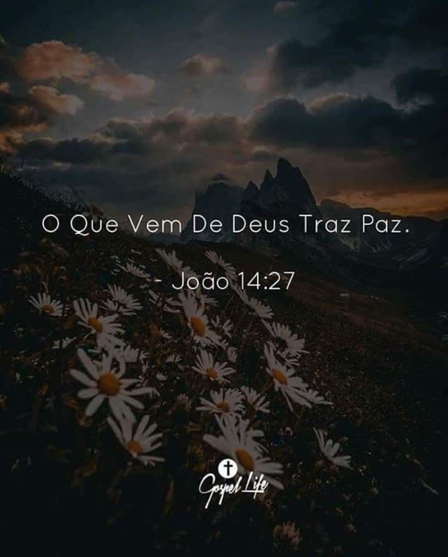 Moda Jesus traz paz