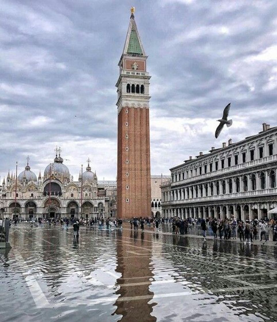 Lugar Piazza San Marco