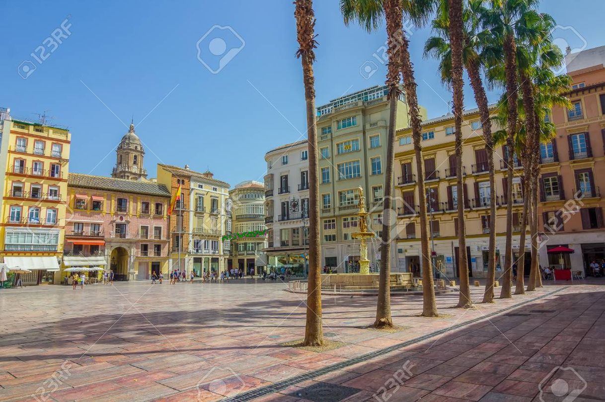 Place Plaza de la Constitución