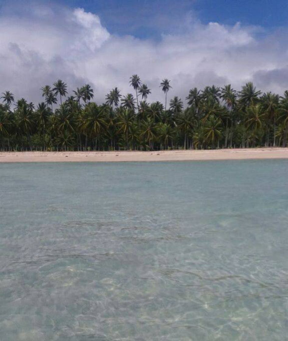 Lugar Praia Ponta do Mangue