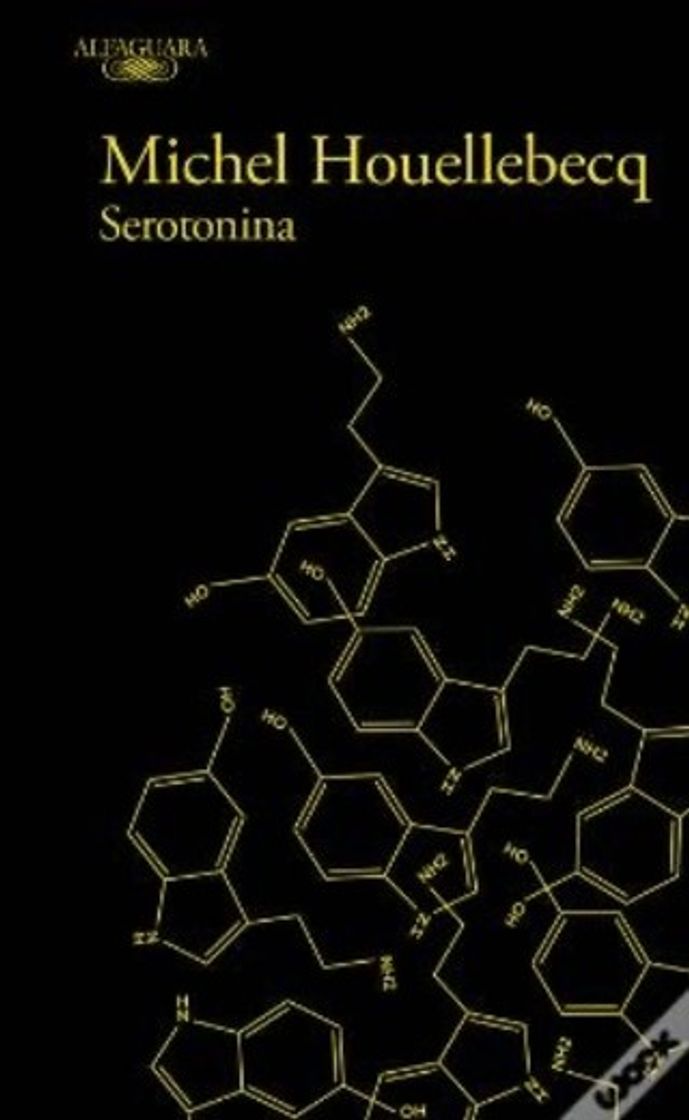 Libro Serotonina