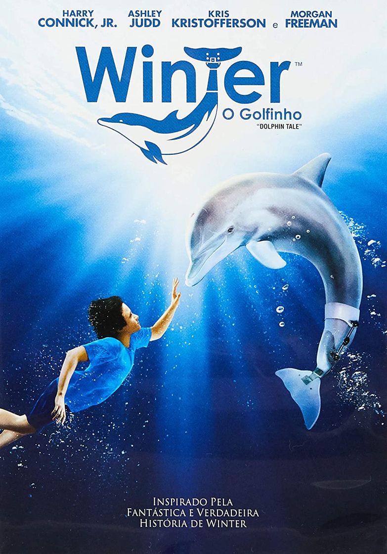 Movie La gran aventura de Winter el delfín