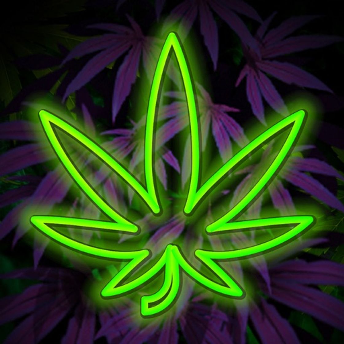 App Hempire - Weed Growing Game