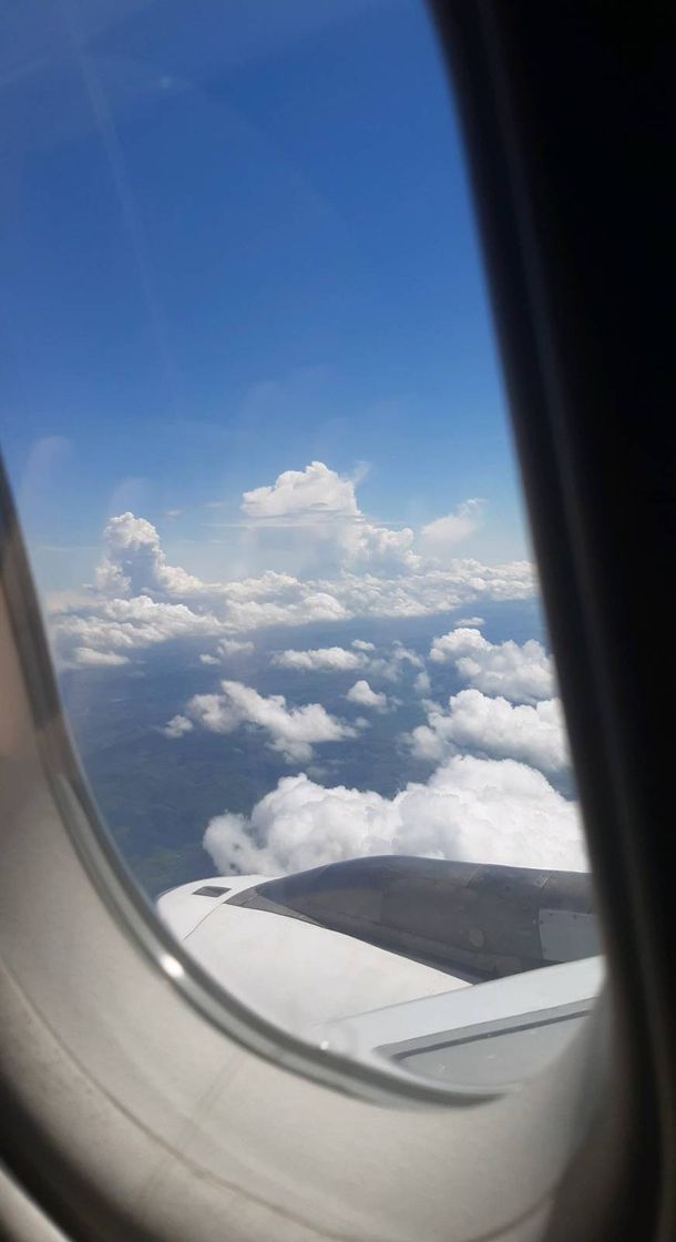 Lugar Aeroporto Internacional de São Paulo (GRU)