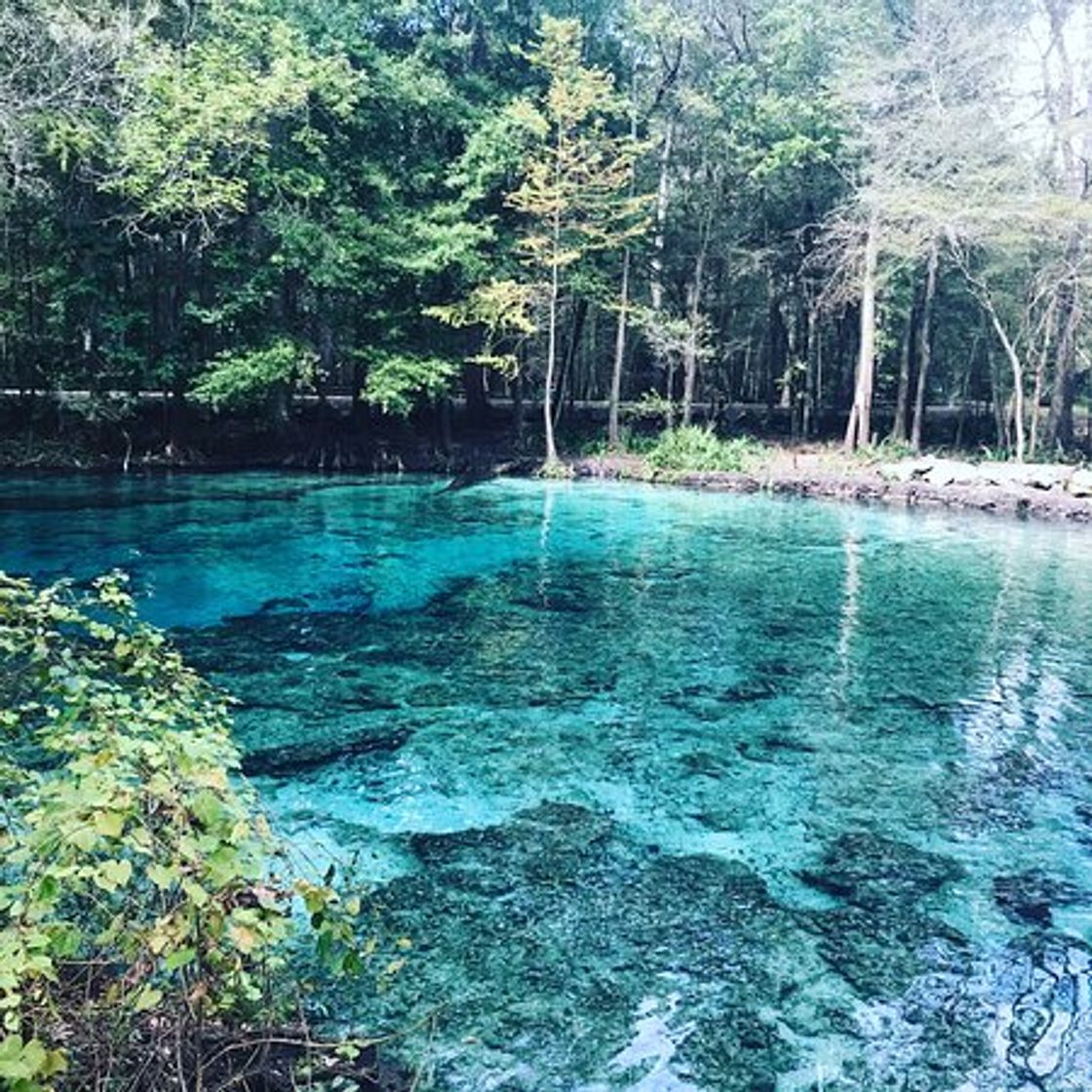 Lugares Ginnie Springs