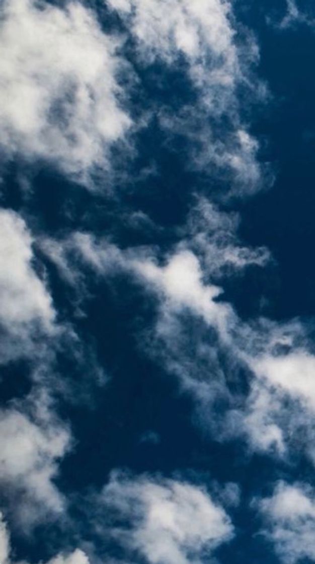 Social ☁️SKY☁️