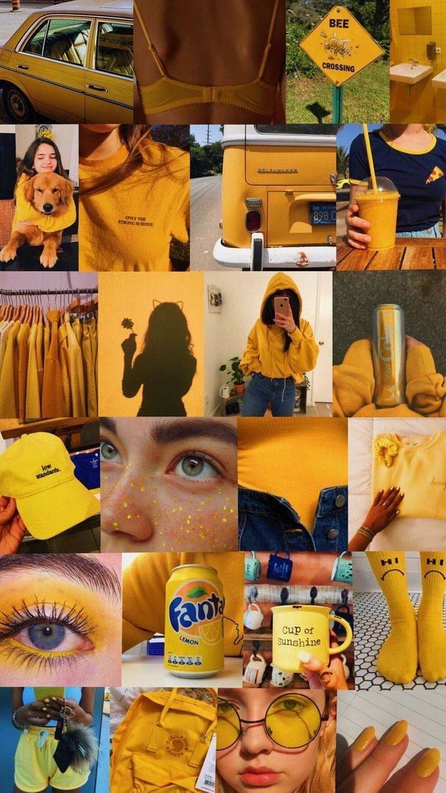 Social Wallpaper