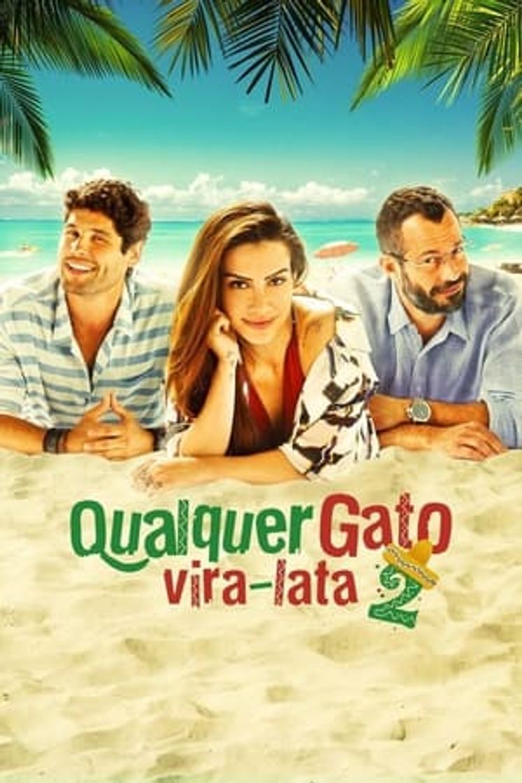 Película Qualquer Gato Vira-Lata 2