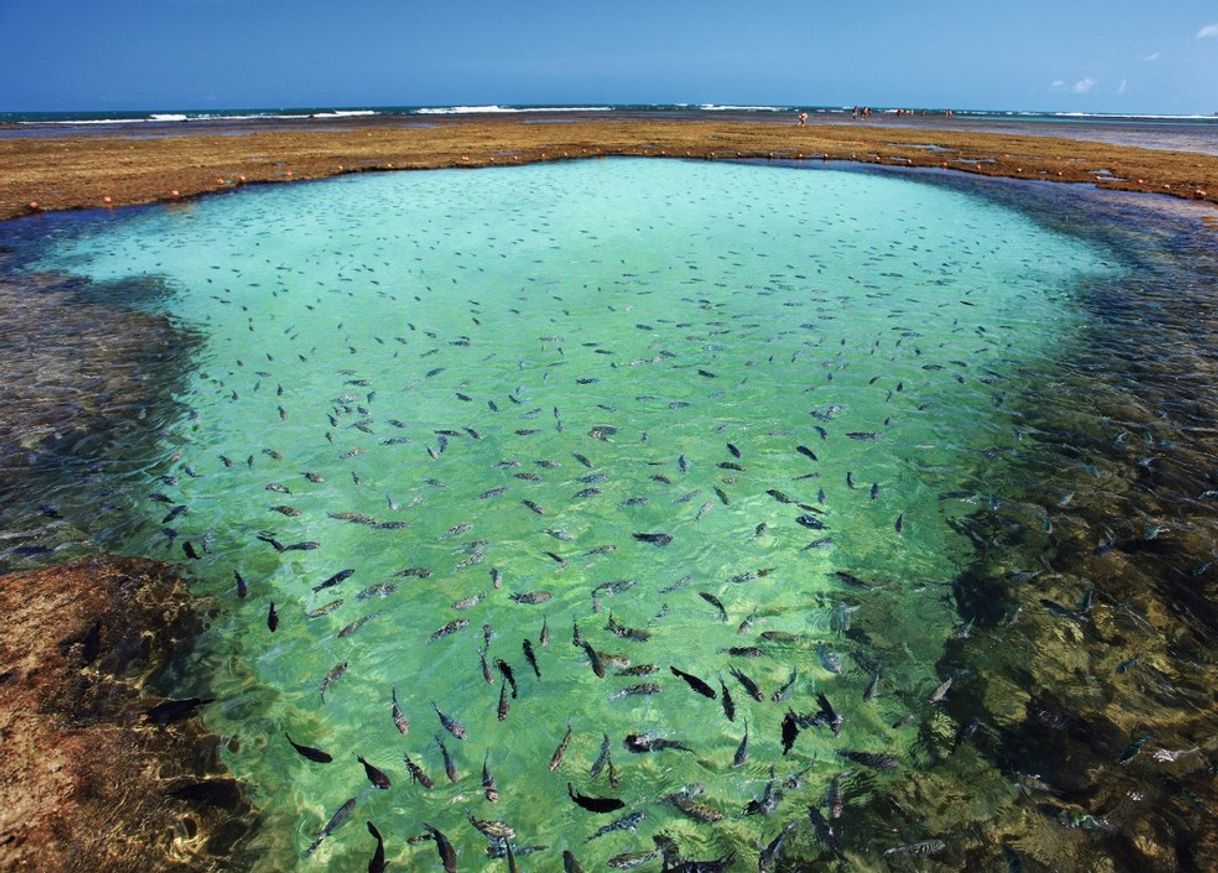 Lugar Porto de Galinhas