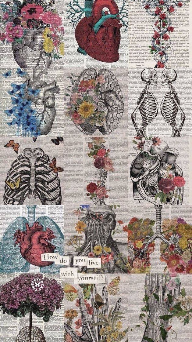 Social Plano de fundo aesthetic