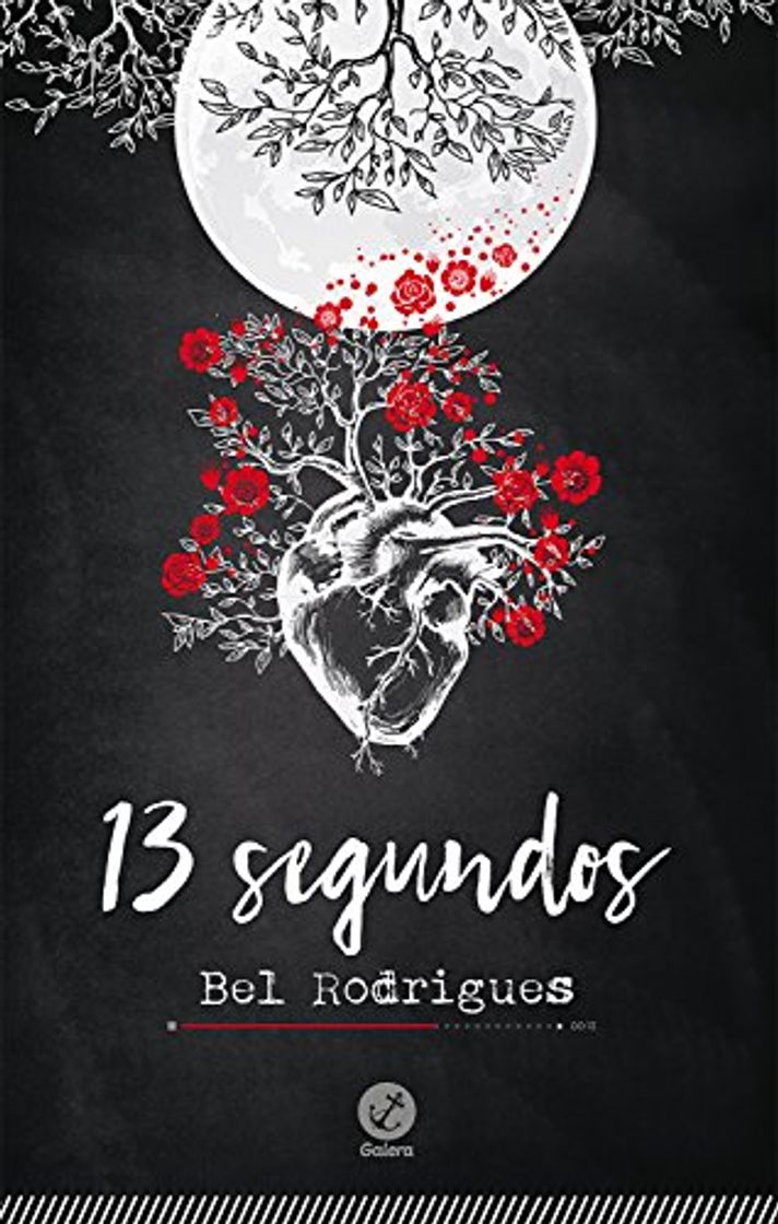 Libro 13 segundos