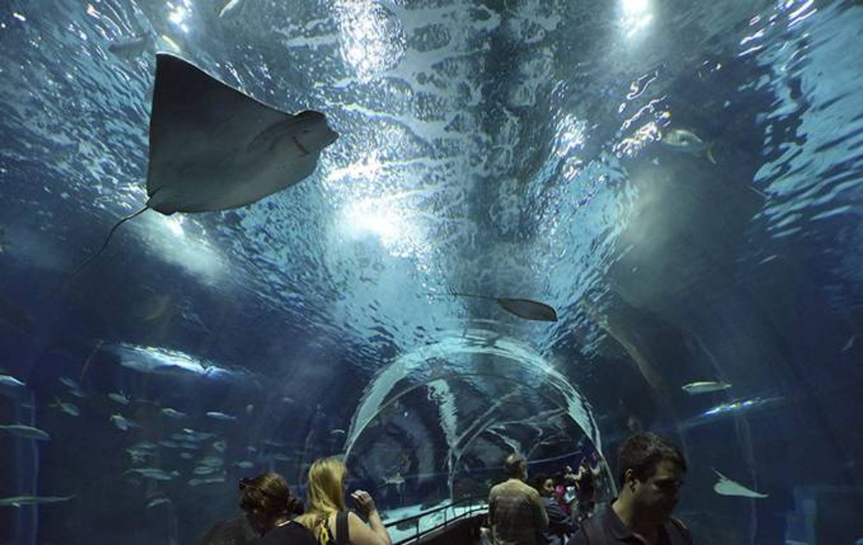 Lugar Aquário Marinho do Rio de Janeiro