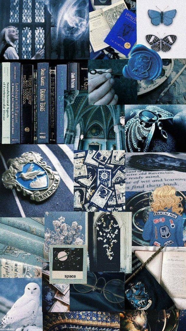 Moda Ravenclaw 🦅💙