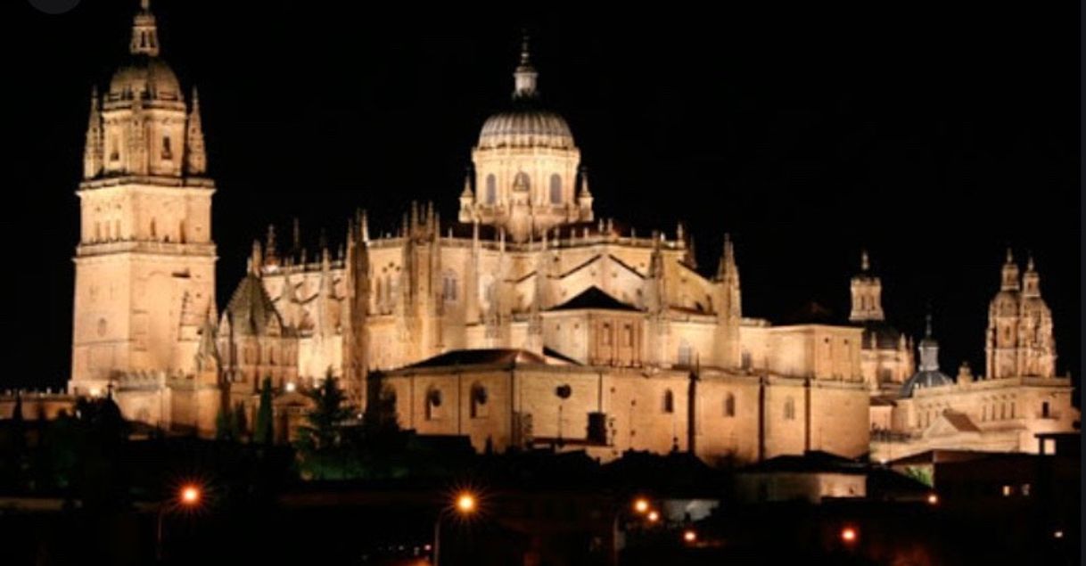 Place Catedral Vieja de Salamanca