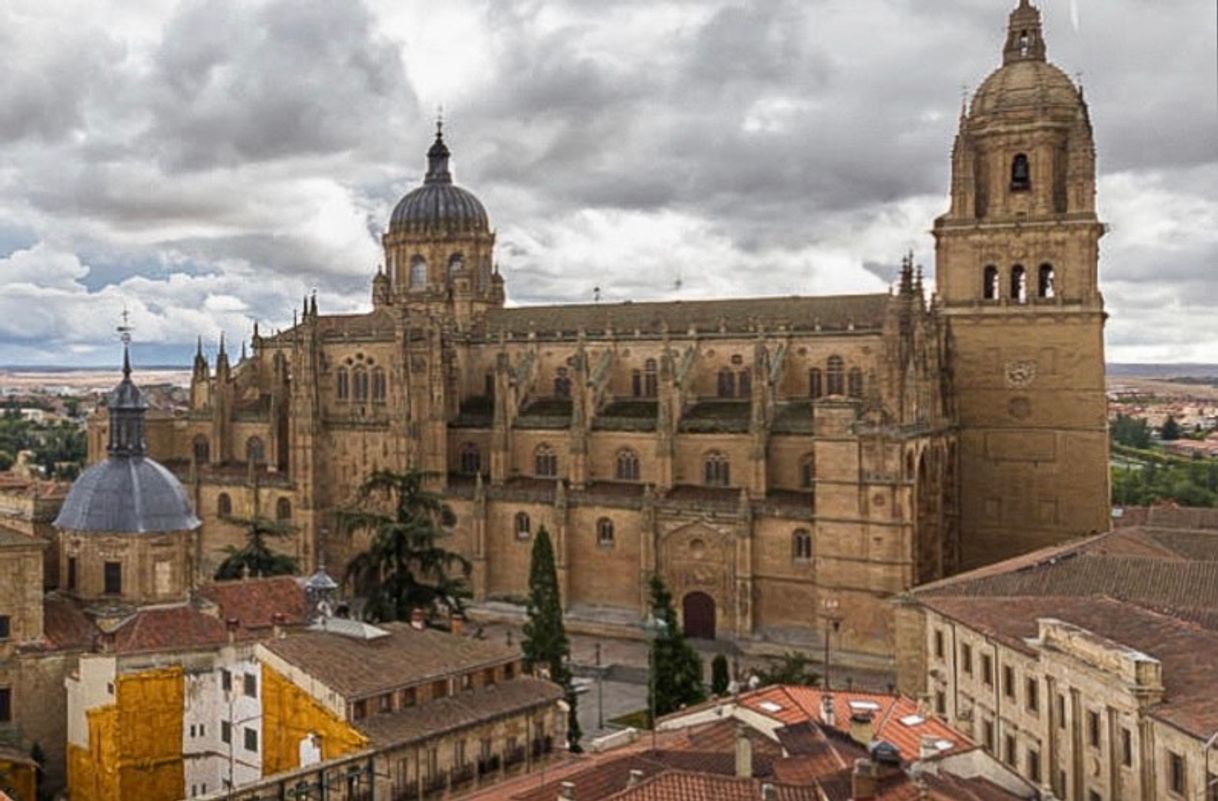 Place Catedral de Salamanca