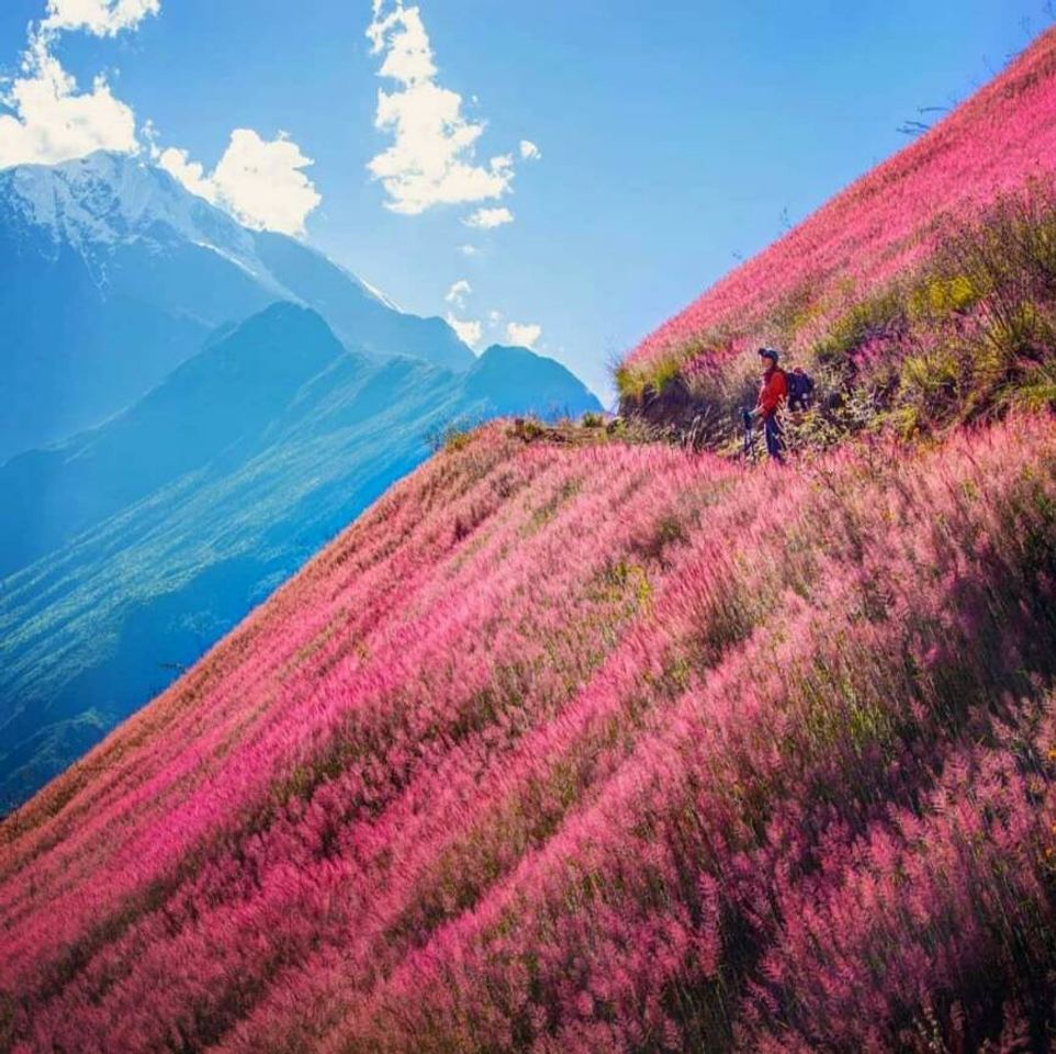 Place Choquequirao