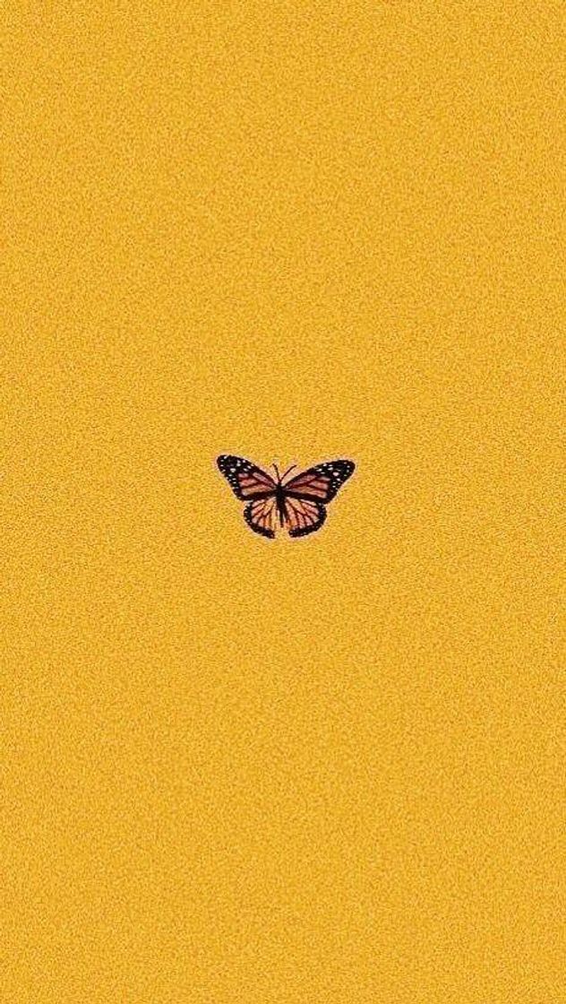 Moda Butterfly 🦋🧡