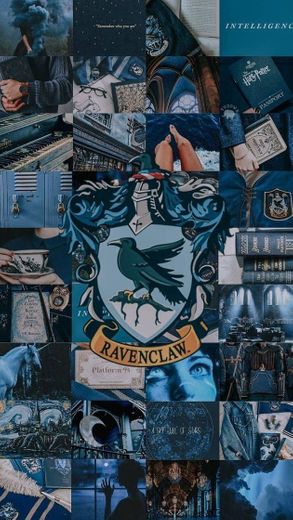 Ravenclaw 💙🦅