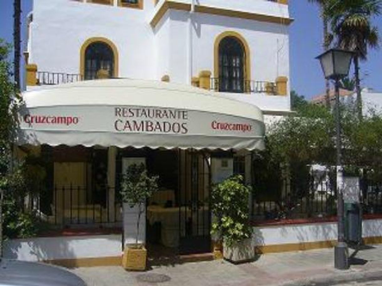 Restaurants Restaurante Cambados