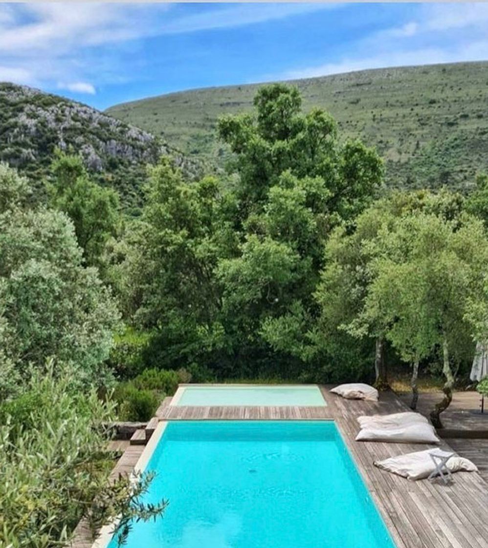Place Cooking and Nature – Emotional Hotel