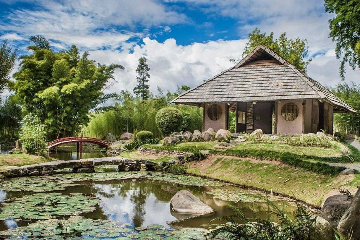 Place Jardín Botánico Lankester