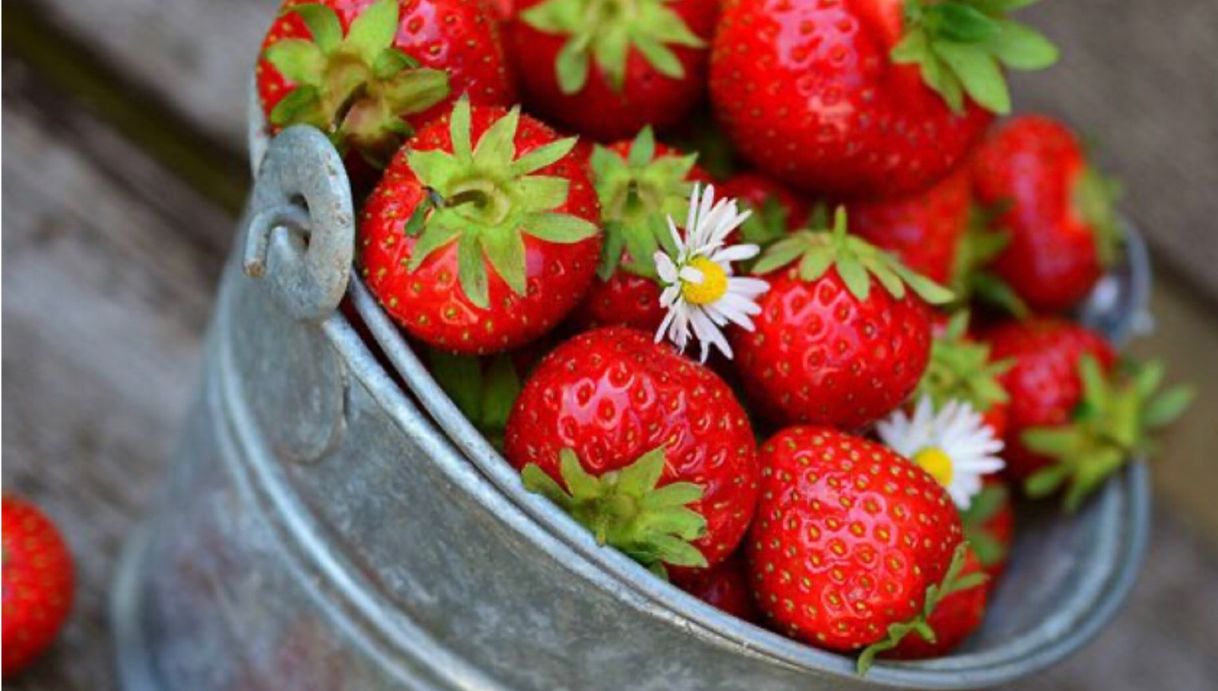 Social Fresas