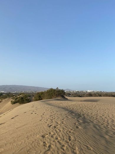 Dunas de Maspalomas