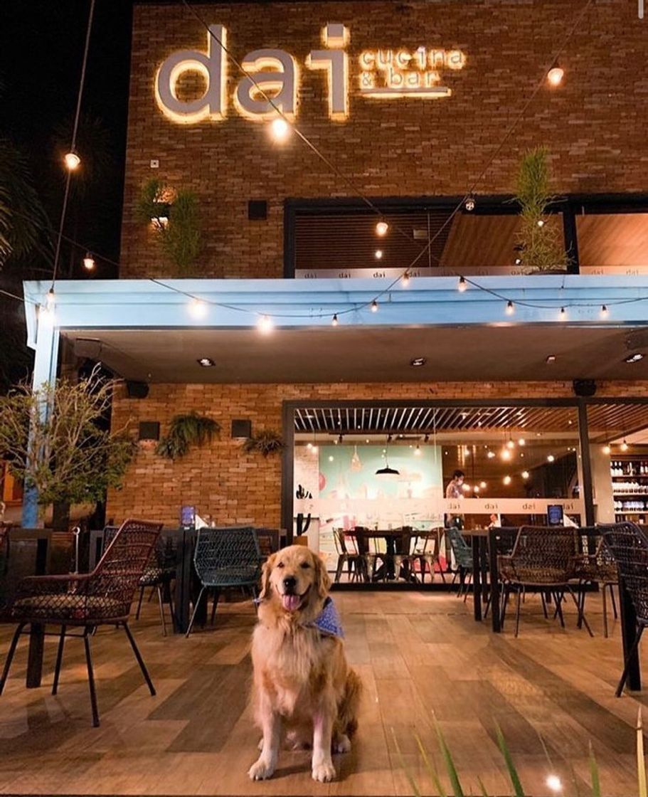 Restaurants dai - cucina & Bar