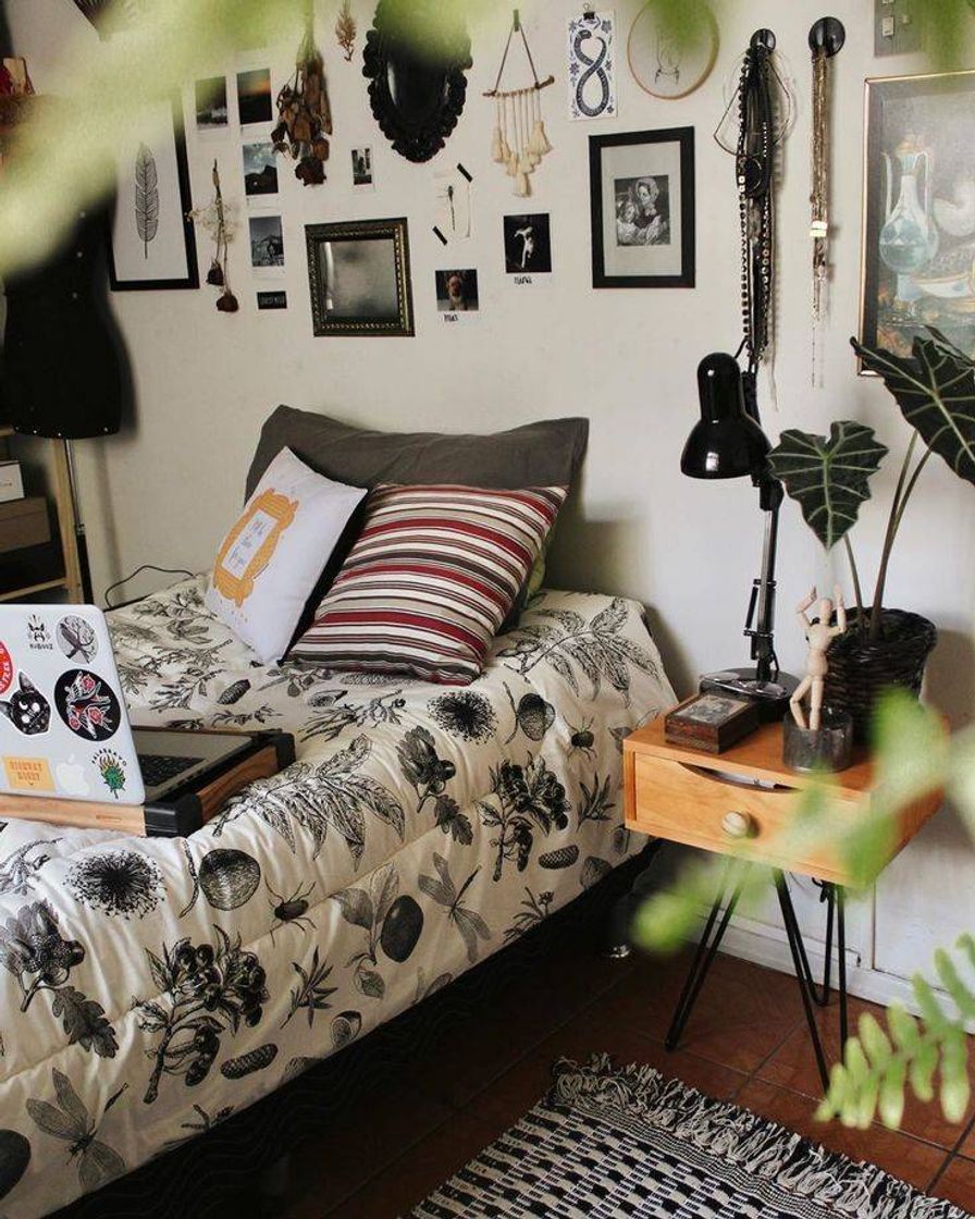 Quarto aesthetic