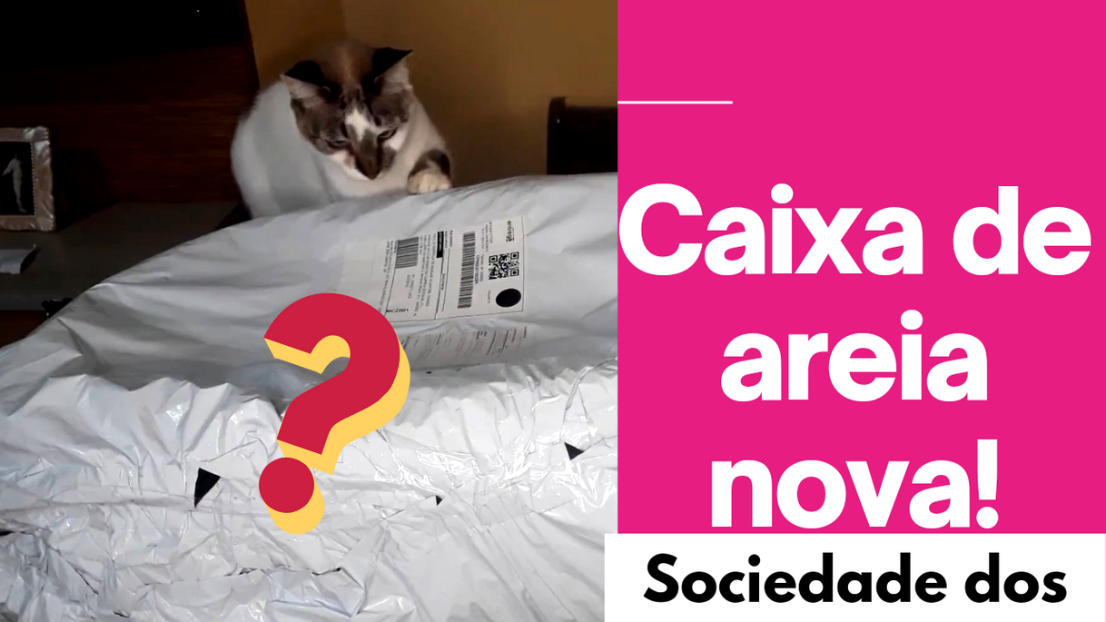 Fashion Unboxing Caixa de areia nova - Sociedade dos pets - YouTube