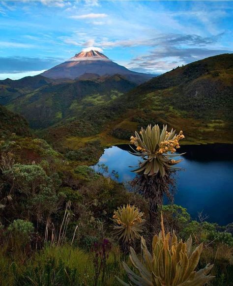 Lugar El Caribe